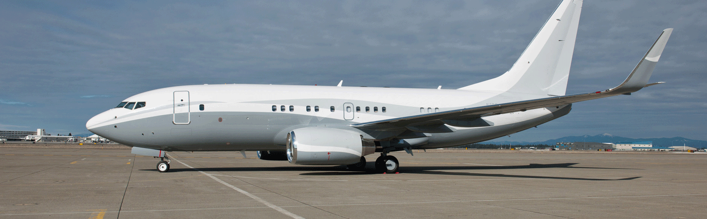 Ace Avation
